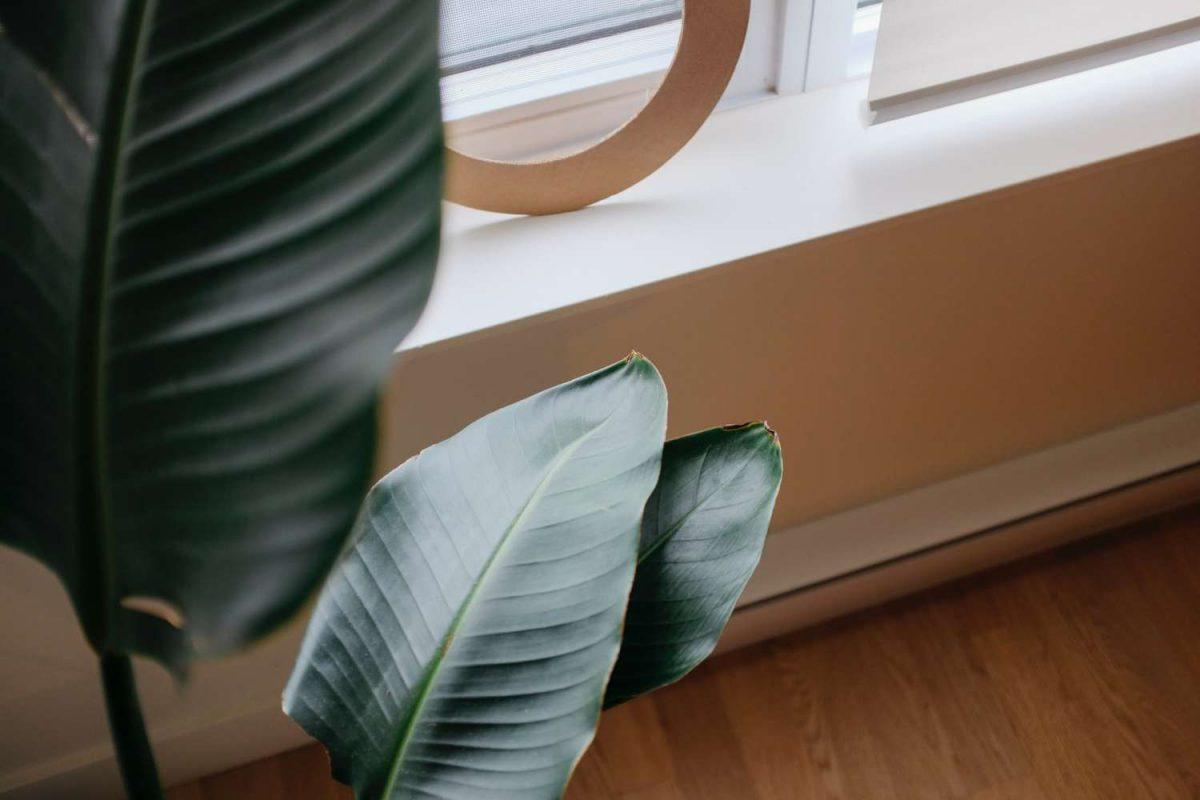 OTTC – OBEC Technical Teaching Center